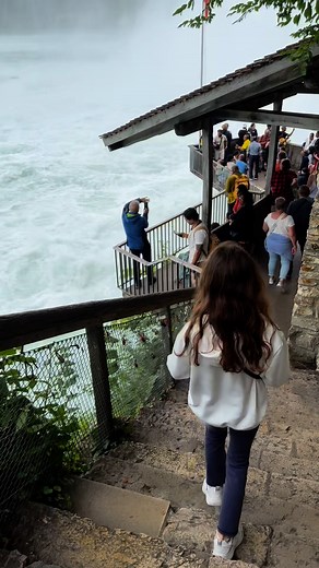 The Rhine Falls (Rheinfall in German) is the largest waterfall in Europe by volume, and one of Switzerland’s most spectacular natural attractions. #travelblog #enjoyingthenature #followersreelsfypシ゚viralシfypシ゚viralシalシ | Che Elb