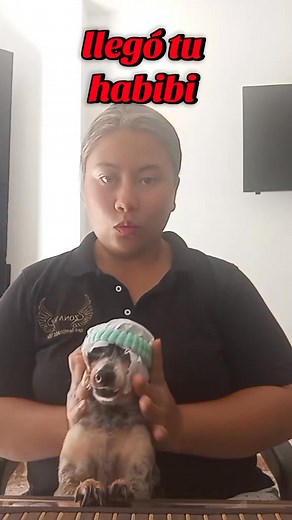 Tu habibi de confianza 🤣 | Camiila Valencia