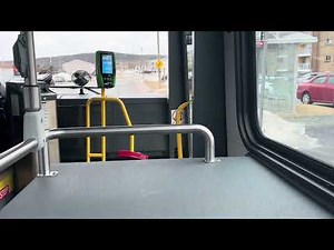 Brand New Bus: Metrobus Transit St.John's 2446 2024 Hybrid HEV Nova LFS Route 1