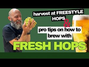 How to Brew with Fresh Hops! 🍺🌿 Freestyle Hop Harvest in Upper Moutere + Pro Tips for Homebrewers