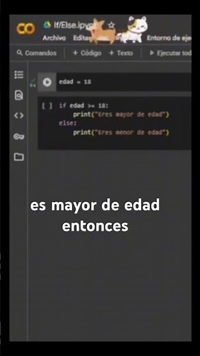 Aprende a usar if / else en Python con un ejemplo claro 💡 #python #condicionales #dev