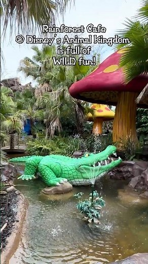 It’s a jungle of wild fun @ Rainforest Cafe!