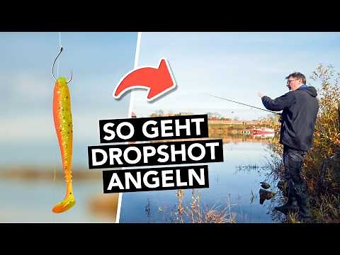 Dropshot-Angeln auf Barsch für Einsteiger 🎣 So geht’s Schritt für Schritt