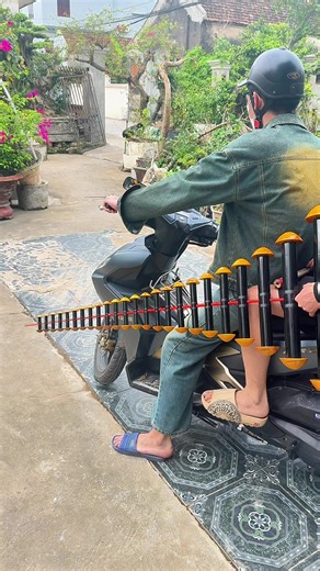 ngày nay trôi toàn bò nhỳ 😂 chúc ae báo dân thật tốt #xuhuong #xuhuongtiktokxuhuongtiktok #diềusáo #dieusaovietnam ##xuhuongtiktok2026