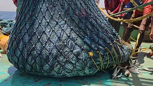 16K views · 218 reactions | Barracuda fish in INDIAN trawler fishing | Indianfisherman CV | Facebook