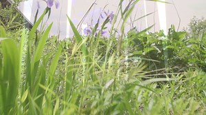 Happy #EarthDay! 🌎 Take a look at a few of the special measures we take to help preserve our planet for future generations. | Potawatomi Hotel & Casino