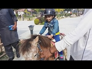 Pony Rides/ Kids ponies #ponyride