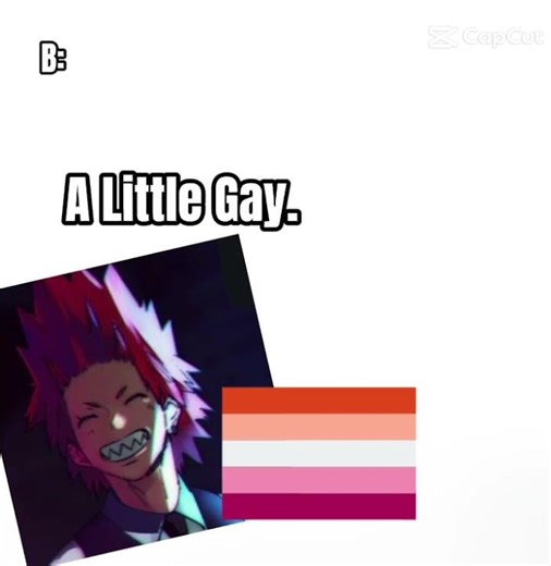 NOT THE FRECH FLAY L!!!!