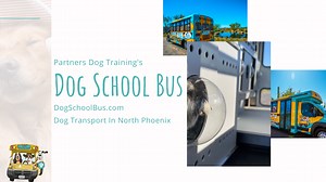 Dog Boarding Pick Up & Drop Off | Partners Dogs Bus