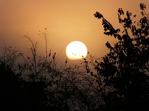 Apartments for Rent in Spring Hill, TN | ApartmentHomeLiving.com