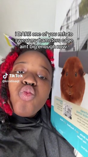 Hamster Cage Setup: Temporary vs. Permanent Housing