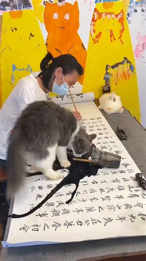 Posts Of Kittens🐾 (@postsofkittens) on X