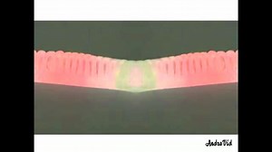 Preview 2e Annoying Orange effects (video pad version)