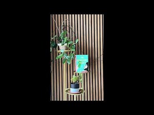 The Authenticity Project: Chapter One_Monica