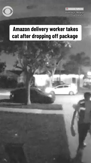 90K views · 459 reactions | An Amazon delivery worker stole a cat...