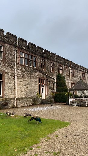 Today’s wedding is at Ruthin Castle with Nick & Tine! It’s cold but lovely and soft light today ! Stunning ! 😍 Ruthin Castle Hotel | Markus Watson Photography