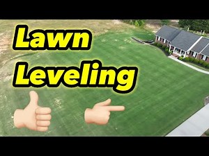 Lawn Leveling RESULTS Alpha Elite Bermudagrass LOOKING GOOD