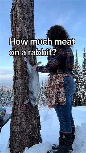 what to expect when you butcher a domestic rabbit