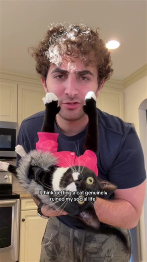 My Cat is My Best Friend: Hilarious Kitten Moments