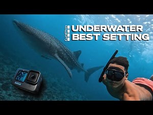Best GoPro Settings for underwater videography! 5 Quick Tips