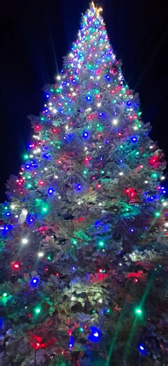 12K views · 326 reactions | What an absolute highlight! Watching Councilwoman Barbara Perea-Casey dancing with her husband, Frank, after the Christmas Tree Lighting felt like a scene straight out of a holiday romance. The lights glowing around them, the music drifting through the air — it was love, joy, and pure Christmas magic all at once. Moments like these are what memories are made of. ✨❤️ | Las Vegas City Government | Facebook