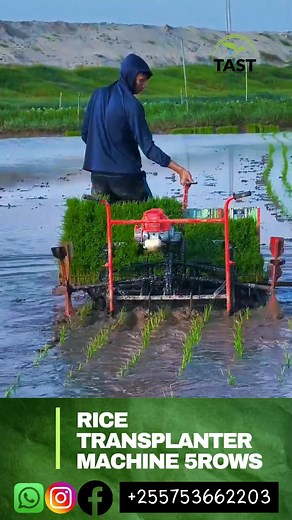 Rice transplanter machine 5rows ,1acres for 1 hour -Kilimo cha mpunga _Mashine ya KISASA ya kupanda Mpunga_ekari 1 kwa saa 1 RICE /PADDY TRANSPLANTER/TRANSPLANTING MACHINE _Motor driven Rice/paddy transplanter Machine 1.Ukubwa 110cm x 140cm x 45 cm 2.Mashine inauwezo wa kupanda akari 1 Kwa saa 1(planting area 1 acres per hour ) ,6 rows ,row to row 20cm ,(Mistari 6 , umbali kati ya mstari mmoja na mwingi 20cm ) 3.Ukubwa wa injini (Engine size ) GX-35 4.Matumizi ya Mafuta (Fuel consumption ) 0.5 l