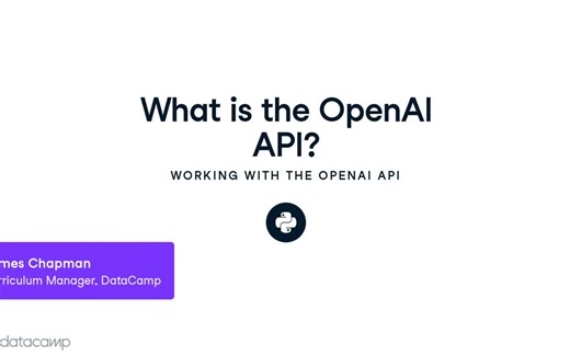 使用 OpenAI API - Working with the OpenAI API 2023-11