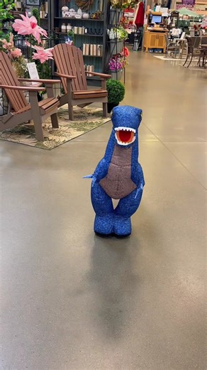 7.4K views · 59 reactions | Have you seen this?  Introducing the inflatable, remote control dinosaur!練 Keep the kids (or yourself) entertained for hours! | Hartville Hardware | Facebook
