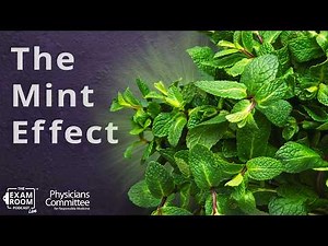 Doctor Reveals 12 Surprising Health Benefits of Mint