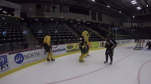 27K views · 324 reactions | #RunningManChallenge accepted. | Northern Michigan University Wildcats - Official | Facebook