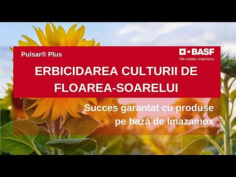 Beneficiile Erbicidului pentru Floarea-Soarelui pe Baza de IMAZAMOX