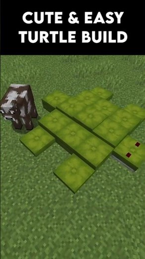 The Cutest Turtle Build