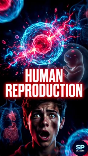 Human Reproduction Explained in 1 Minute | From Single Cell to Baby #shorts #Biology #reproduction