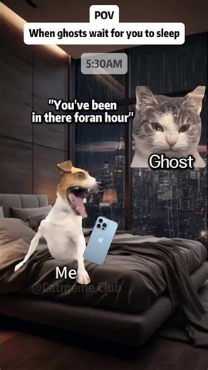 Ghost Tried to Scare Me… But I Never Slept 😂🐱#catmeme #relatable #shorts