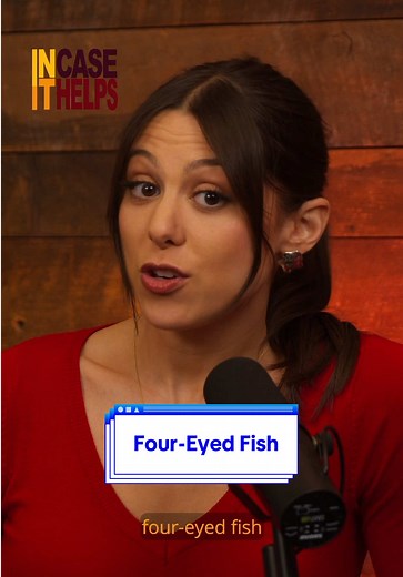 20/20/20/20 Vision 🙂‍↕️🐠 @In Case It Helps Podcast #podcast #incaseithelps