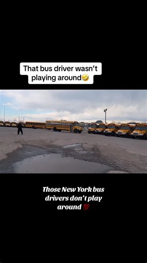 New york school bus drivers and vid from dillan rathan if you couldnt tell already#busdriver #schoolbus #cdl #bus #buses #aintnoway #fyp #viral #black #fypシ #fypシ゚viral #coworkers #fun #buses #buslife #howweroll #laugh
