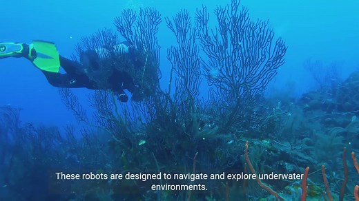 Applications of Aquatic Robotics in Marine Science