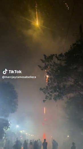 Enjoying a Spectacular Fireworks Display Outdoors