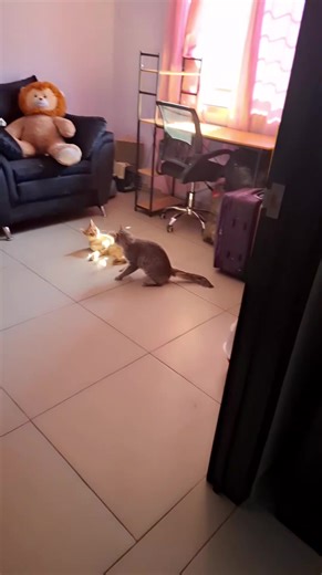 Todo es actuado 🤣 (El audio no es mio pero pega bien con el vide 😌)