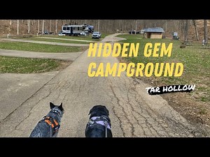 A hidden gem campground - Tar Hollow State Park Ohio