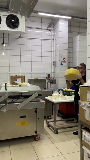 Inside a Cheese Processing Facility: Workers in Action