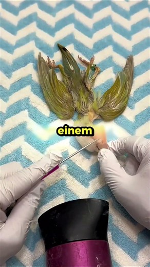 Der Vogel sieht wie lebendig aus