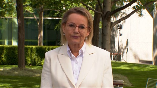 Sussan Ley resigns as Liberal leader after nine months
