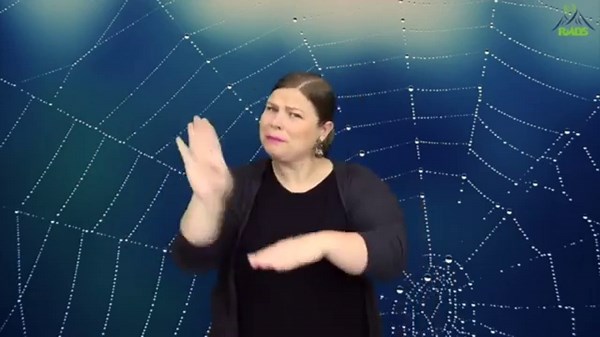ASL Storytelling: The Very Busy Spider