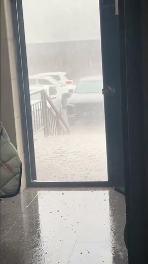 Cat dashes indoors during severe hailstorm in Hebei, China