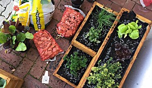 Fertilise | Guide to Fertilising your Garden with Lifestyle Home Garden