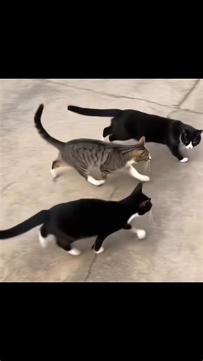 Good Goodbye _Catsㆍ ai커버