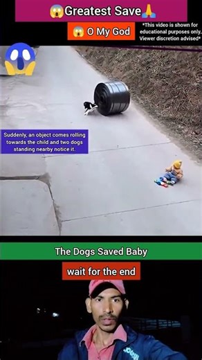 Dogs saved baby | amazing videos | shorts respect #shorts #ytshorts #respect #sad #motivation