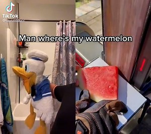 DonaldDucc - Watermelon!