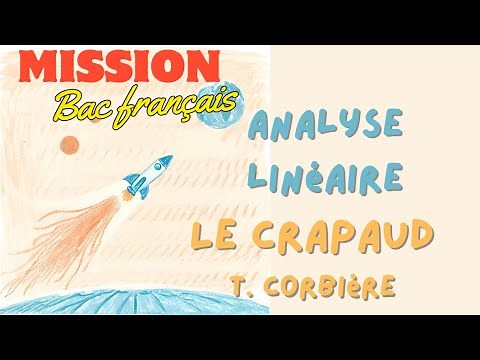 Linear analysis The toad